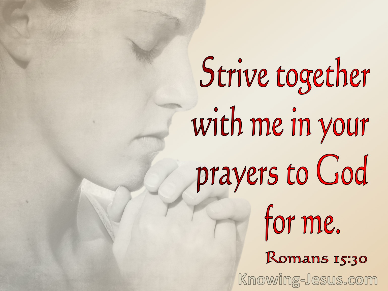 What Does Romans 15 30 Mean 